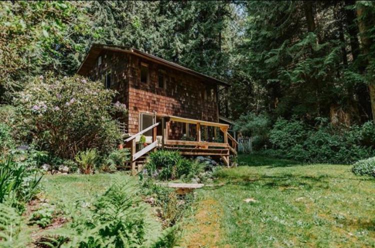 Forest Haven Hideaway Roberts Creek Exteriör bild