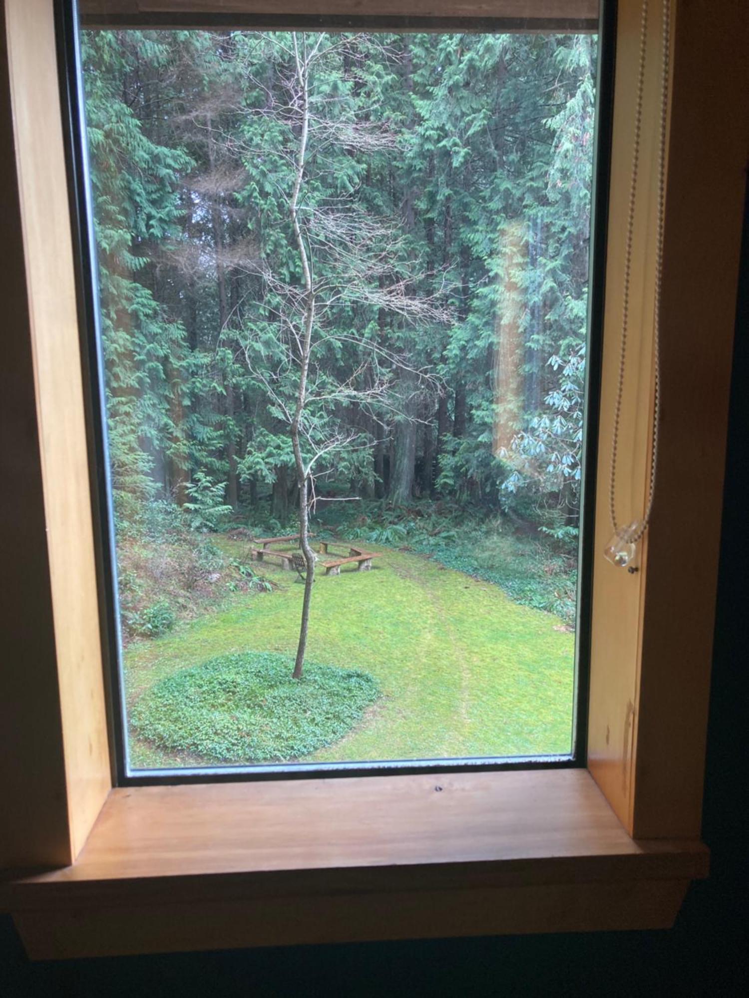 Forest Haven Hideaway Roberts Creek Exteriör bild